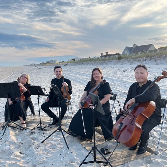 Sweet Harmony Live Music - String Quartet / Classical Ensemble in Raleigh, NC
