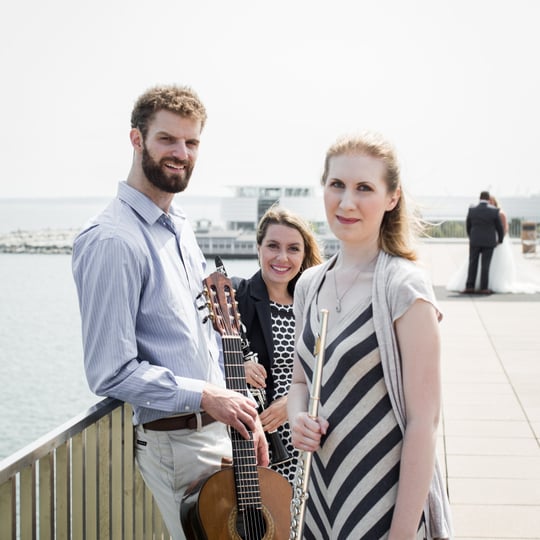 Tabula Nova Ensemble - Classical Ensemble / Holiday Party Entertainment in Hartland, WI