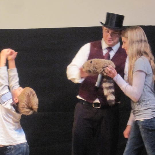 The Amazing Steveo - Magician / Family Entertainment in Santa Rosa, CA