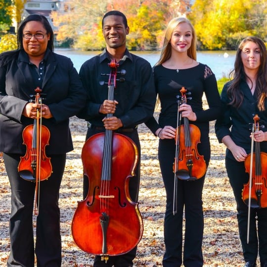 The Blue Moon Music Company - String Quartet in Bay Shore, NY