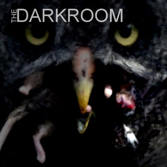 The Darkroom - Alternative Band / Rock Band in Kailua Kona, HI