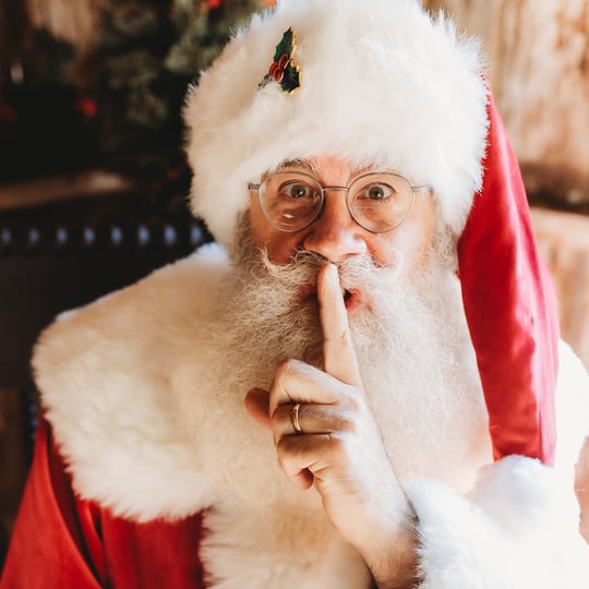 The Elf Himself - Santa Claus in Fairfax, VA