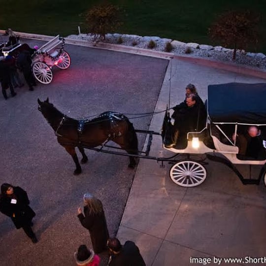 The Enchanted Carriage - Horse Drawn Carriage / Holiday Party Entertainment in Eagle, WI