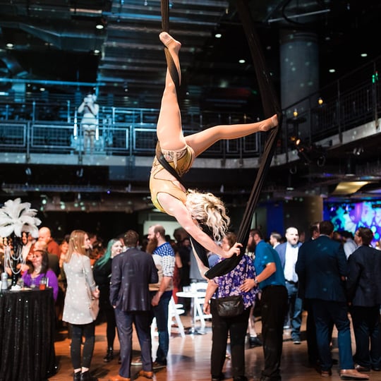 Aerial Curiosities - Aerialist / Circus and Acrobatic in Minneapolis, MN