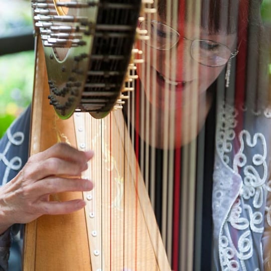 The Gold Harp - Laurie Galster - Harpist in Phoenix, AZ