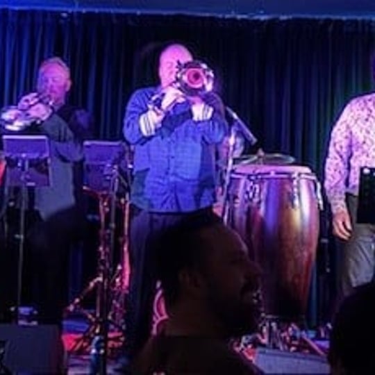 The Groovebug - Party Band in Gloucester, ON