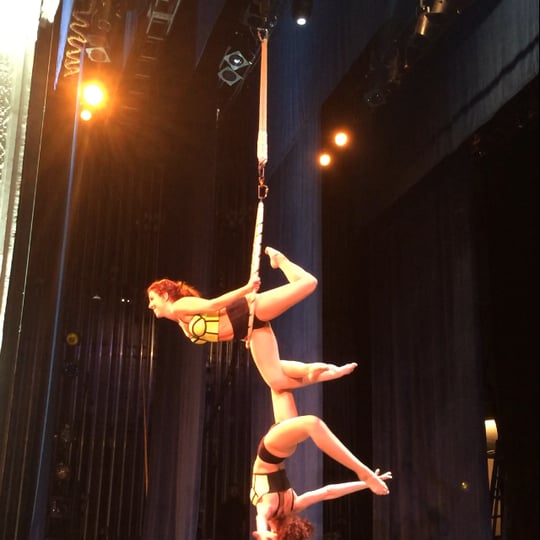 The Hoopla Girls - Aerialist / Circus and Acrobatic in New York City, NY