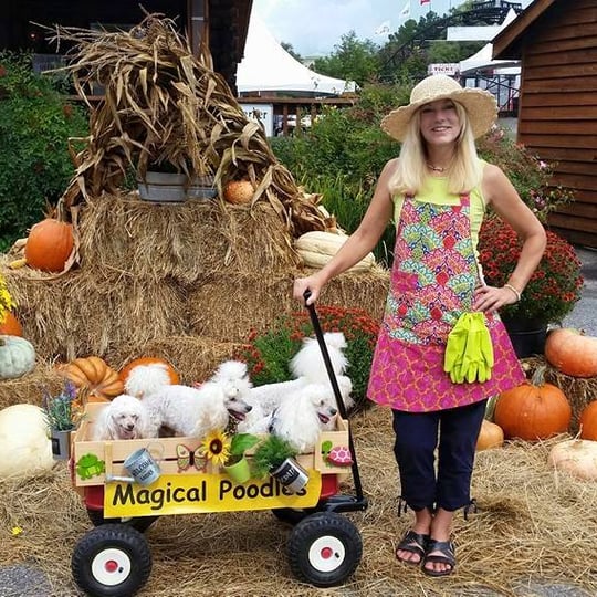 The Magical Poodles - Animal Entertainment in Gulf Breeze, FL