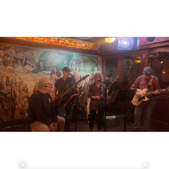 The Night Owles Band - Rock Band / Dance Band in Brookhaven, NY