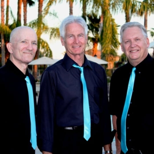The Moonlighters Band - Oldies Music / Beach Music in Mesa, AZ