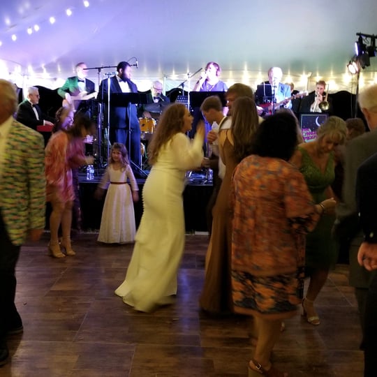 The Carolina Moondogs - Wedding Band / Swing Band in Raleigh, NC