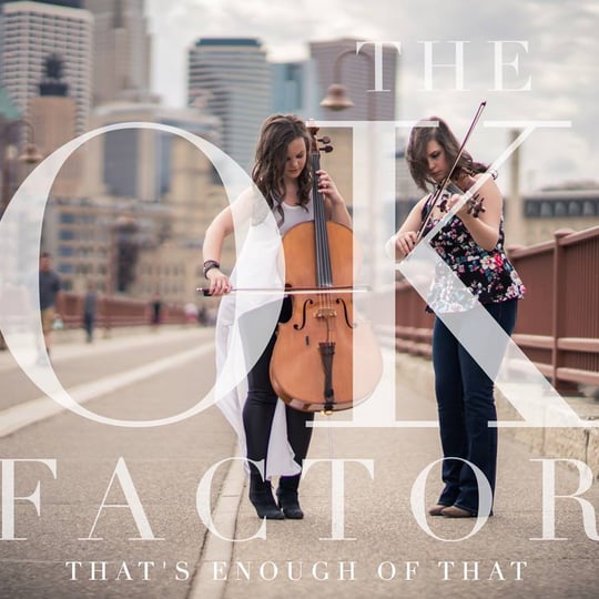 The OK Factor - Acoustic Band in Minneapolis, MN