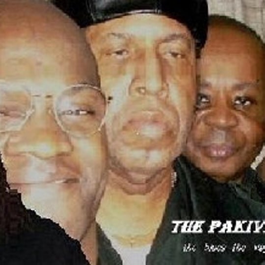 The Pakiva Bluz Band - Blues Band in Baltimore, MD
