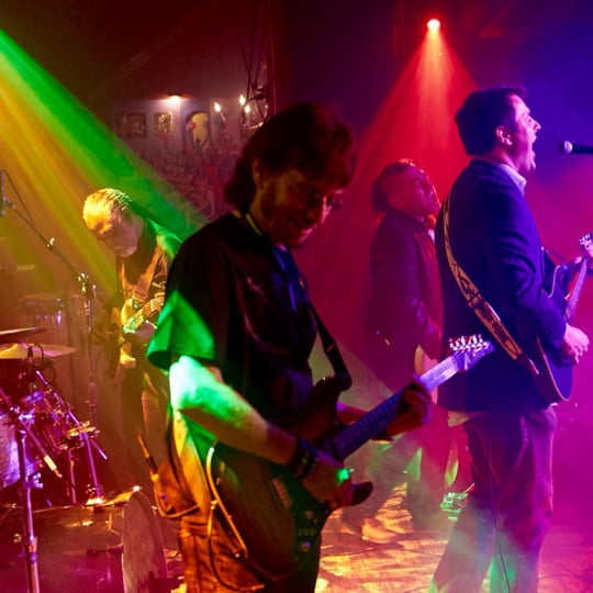 The Petty Thieves - Tribute Band in New York City, NY