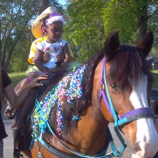 The Pony Party Express - Pony Party in Bellville, OH