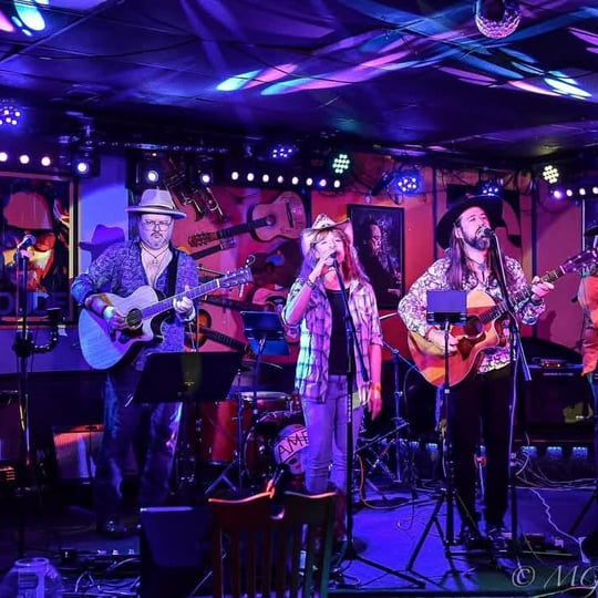 The Surly Trolls - Americana Band / Bluegrass Band in Scottdale, GA