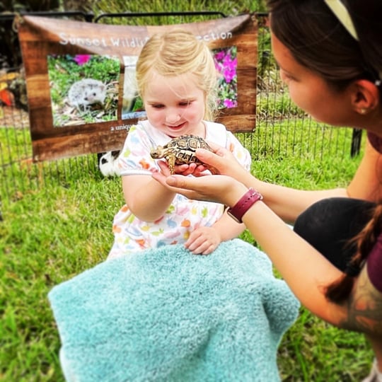 The Wildlife Connection - Animal Entertainment / Petting Zoo in Molino, FL