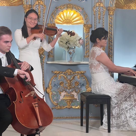 Timbre Tones - Chamber Orchestra / Violinist in Denton, TX