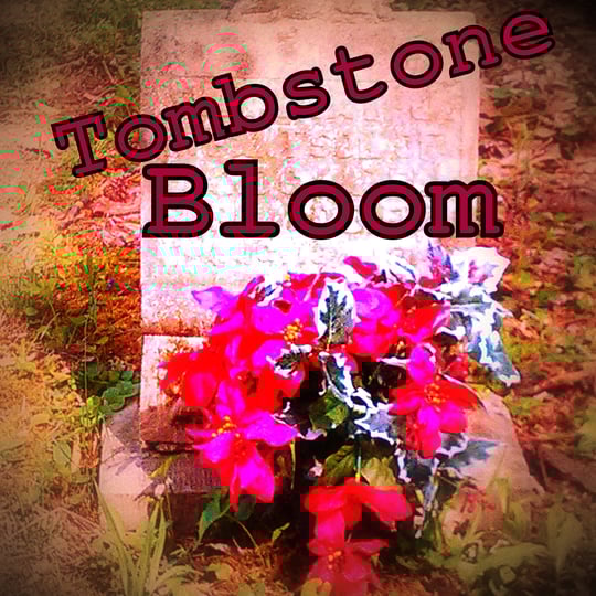 Tombstone Bloom - Rock Band in Bloomington, IN