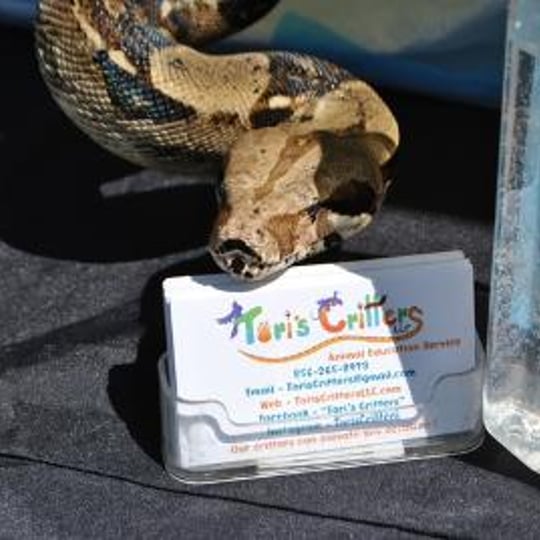 Tori's Critters LLC - Reptile Show / Animal Entertainment in Millville, NJ