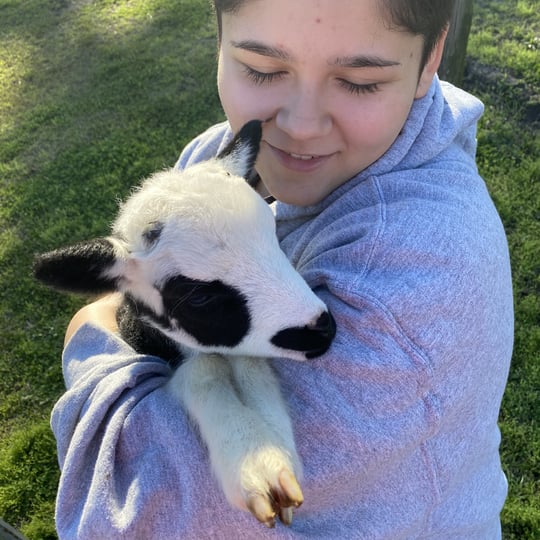 Trinity Ranch Petting Corrals - Petting Zoo in Atlanta, GA