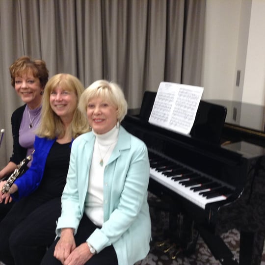 Trio Brava - Classical Ensemble in Naperville, IL