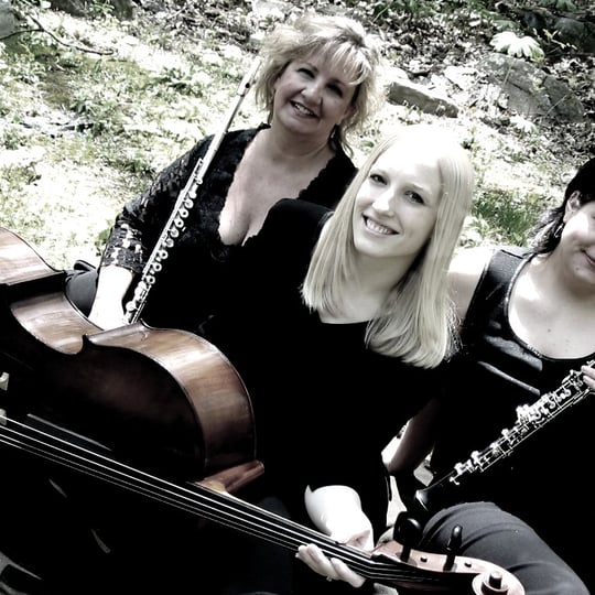 Trio Jolie - Classical Ensemble / Cellist in Reading, PA