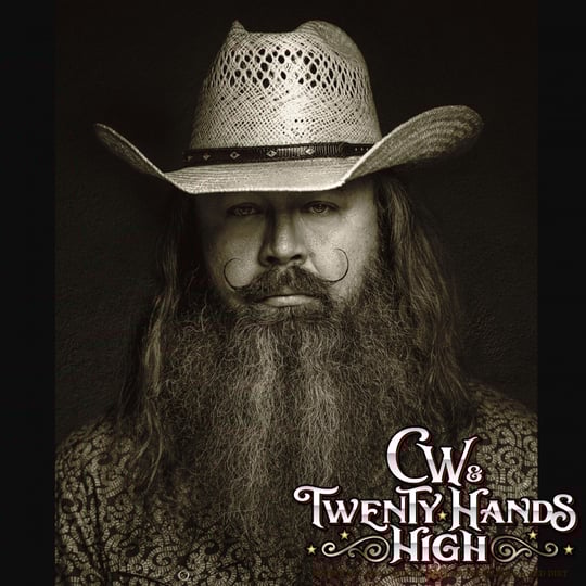Twenty Hands High - Country Band / Wedding Musicians in Arlington, TX