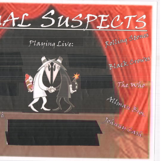Usual Suspects - Party Band in Chicago, IL