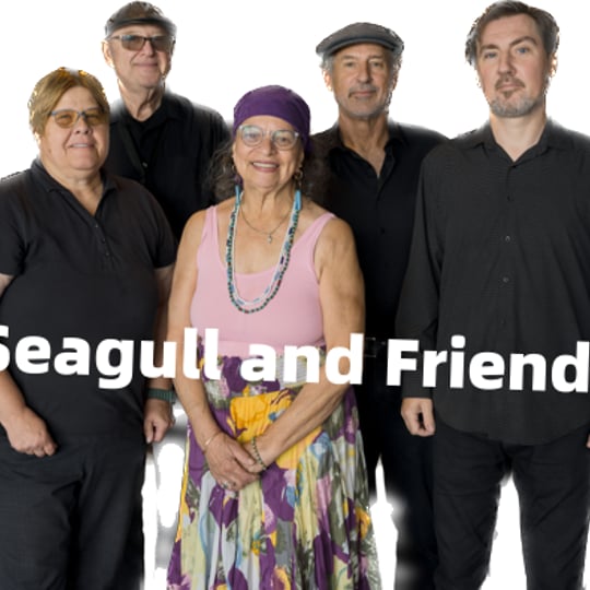 Seagull and Friends - Jazz Band / Zydeco Band in Milwaukee, WI