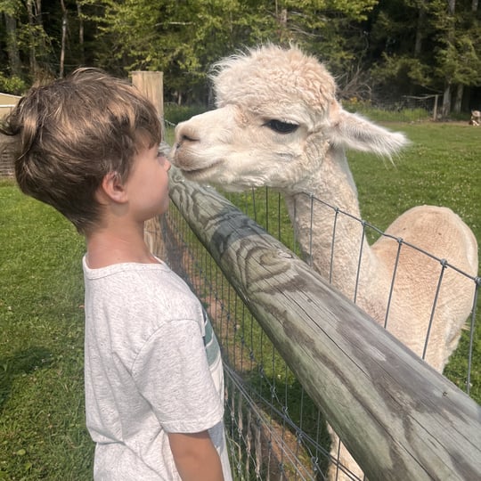 Vidbel Mountain Homestead - Petting Zoo / Pony Party in Windham, NY
