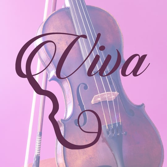 Viva la Strings - String Quartet / Classical Duo in Athens, OH