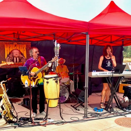 The Walrus - Classic Rock Band / Beatles Tribute Band in Bellingham, WA