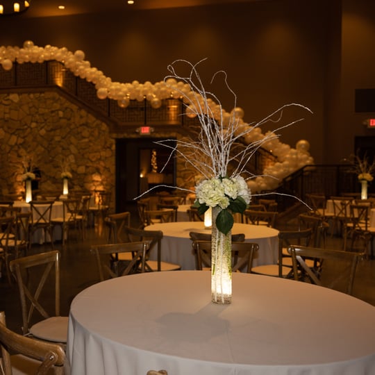 Waterfall Creations - Balloon Decor / Balloon Twister in Dallas, TX