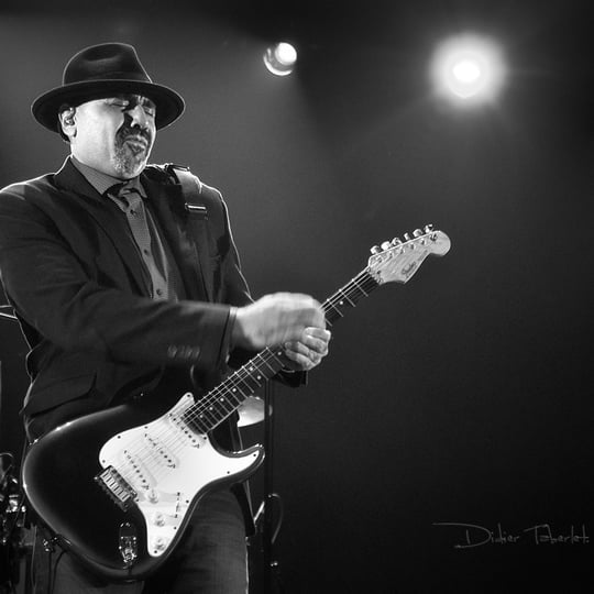 Wayne Baker Brooks - Blues Band in Chicago, IL