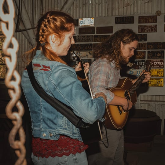 Webster's Wheel - Acoustic Band in Birmingham, AL