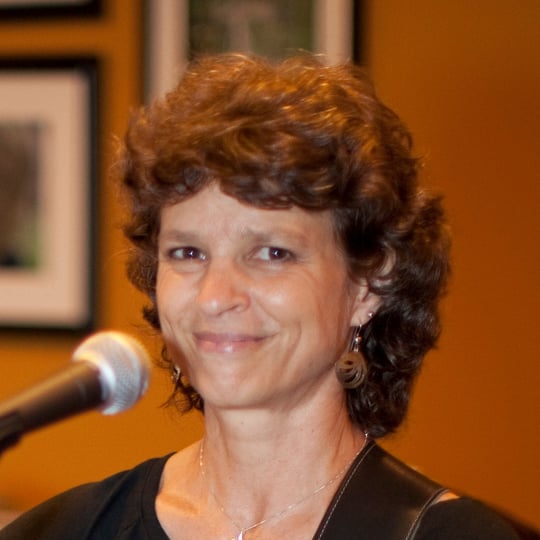 Wendy Schettig - Singing Guitarist in Doylestown, PA