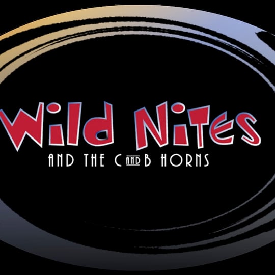 Wild Nites and the C&B Horns - Party Band in Westport, MA