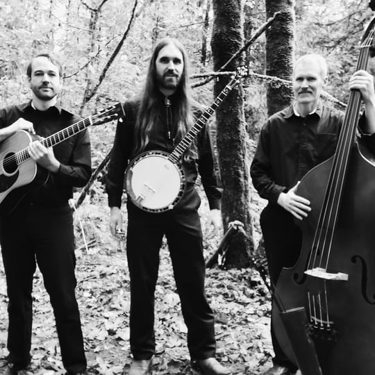 Wildwood Fire - Bluegrass Band in Vancouver, BC
