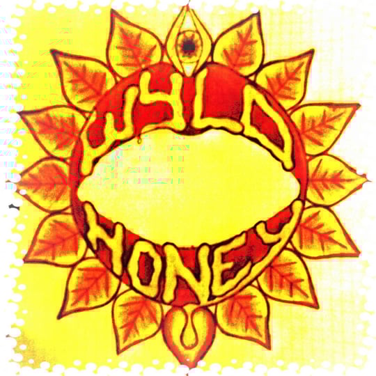 Wyld Honey (band) - Rock Band in Brampton, ON