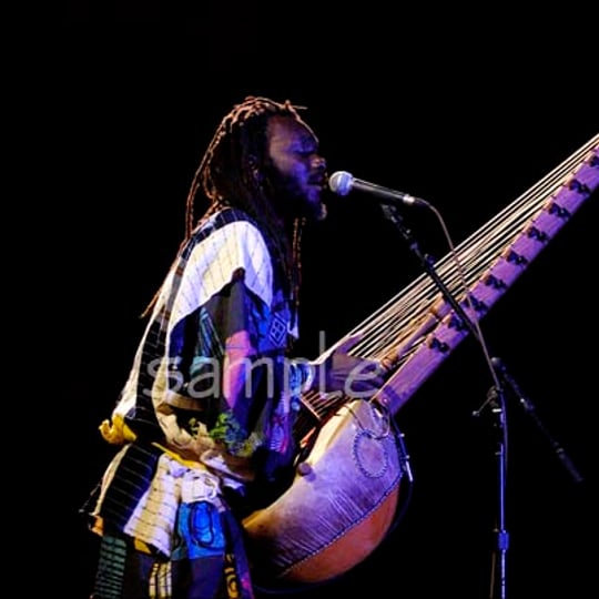 Youssoupha Sidibe Kora Player - World Music / Educational Entertainment in Amherst, MA