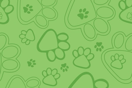 Throw a Paw Patrol Party!