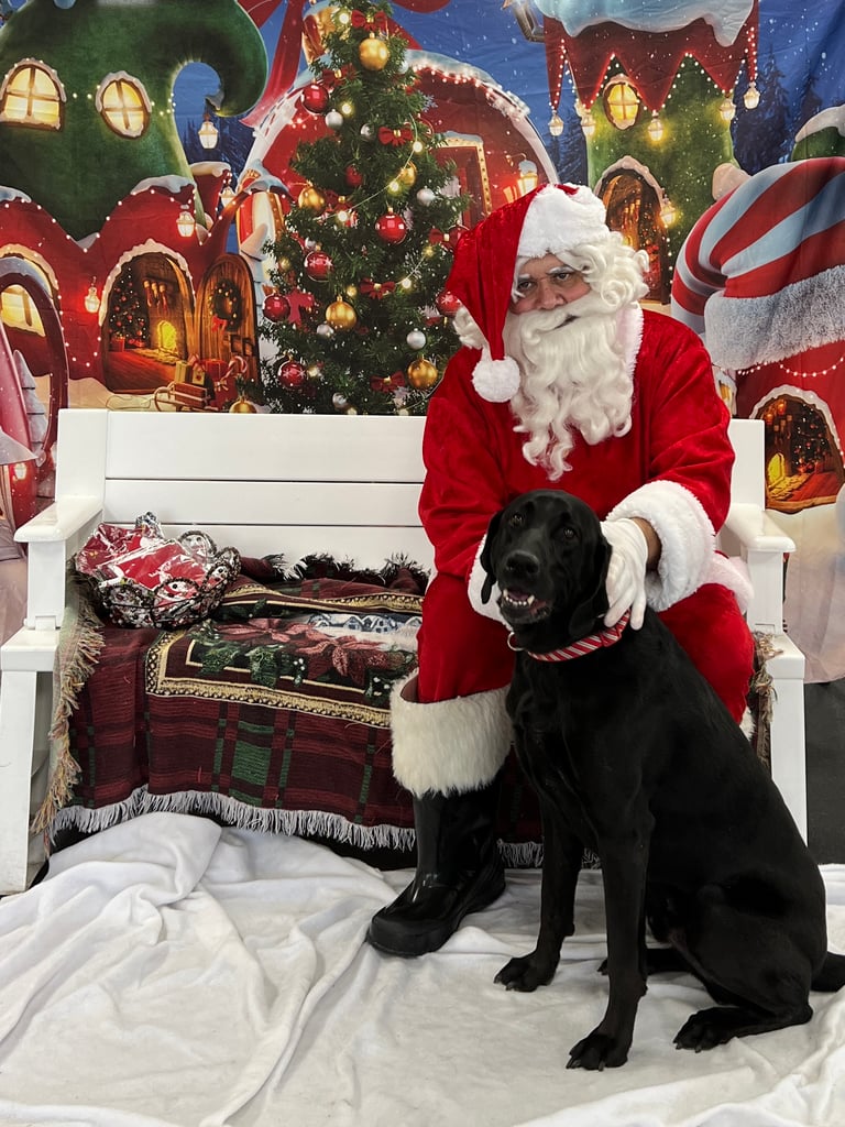 Photo 1 from Dec 16, 2023 event with My Santa Visits