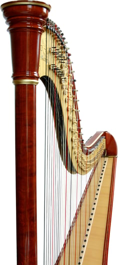 About Hannah Warren  Ottawa-Based Wedding and Event Harpist