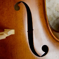 Continental Strings - Strolling Violinist / String Quartet in Nashville, Tennessee