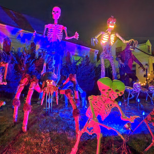 12 Foot Skeleton and Monster Rental - Event Furnishings in Cedar Rapids, Iowa