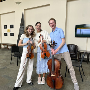 13th Chair String Quartet/Trio - String Quartet / Wedding Musicians in Waco, Texas