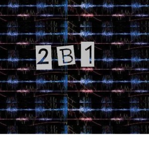 2b1 - Top 40 Band in Dallas, Texas
