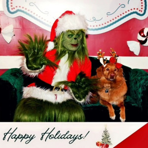 805 Grinch - Santa Claus / Holiday Entertainment in Oxnard, California