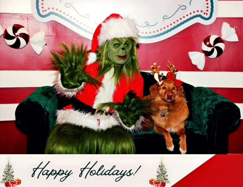 Gallery photo 1 of 805 Grinch